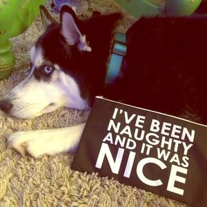 Bandit Says Happy Memorial Day!